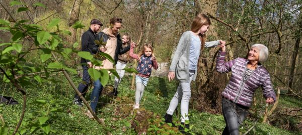 Forsidebillede - Familie i skove