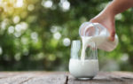 Mælkeprodukter forebygger brud hos ældre